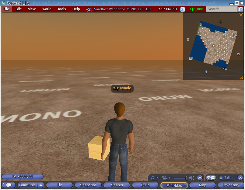 Second Life screenshot, click to open larger image
