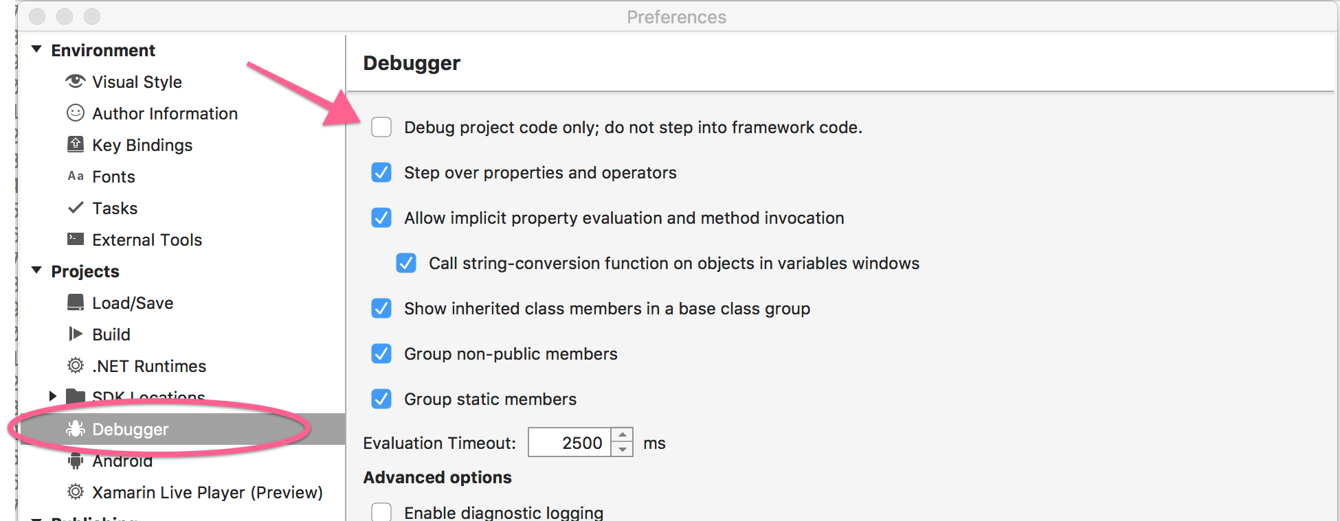 Debugger settings